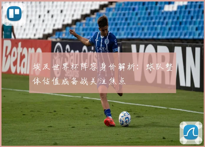 埃及世界杯阵容身价解析：球队整体估值成备战关注焦点